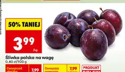 Biedronka Śliwka polska na wagę oferta