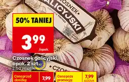 Biedronka Czosnek galicyjski oferta