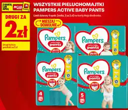 Biedronka Pieluchomajtki Pampers Active Baby Pants oferta