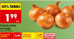 Biedronka Cebula żółta na wagę oferta