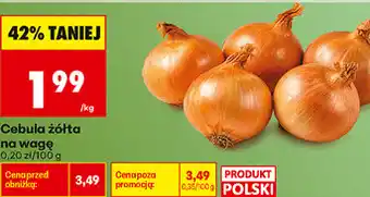 Biedronka Cebula żółta na wagę oferta