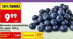 Biedronka Borówka amerykańska XL oferta