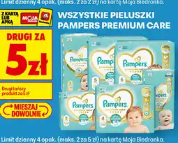 Biedronka Wszystkie pieluszki Pampers Premium Care oferta