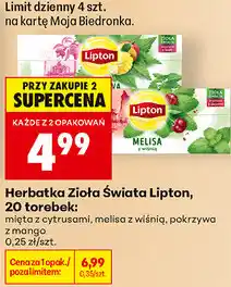 Biedronka Herbatka Zioła Świata Lipton oferta