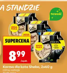 Biedronka Karma dla kota Sheba oferta