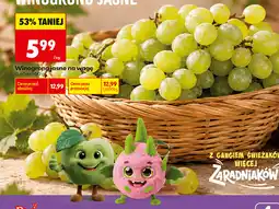 Biedronka Winogrono jasne na wagę oferta