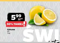 Netto Cytryna oferta
