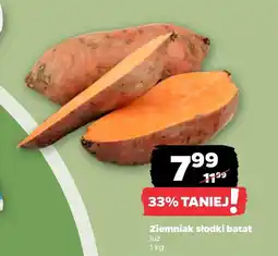 Netto Bataty oferta