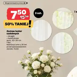 Netto Zestaw luster oferta