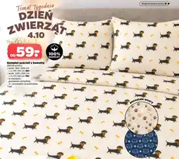 Netto Komplet pościeli oferta