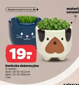 Netto Doniczka oferta