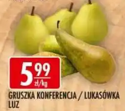 Sklepy Doroty Gruszka Konferencja / Lukasówka Luz oferta