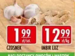 Sklepy Doroty Czosnek oferta