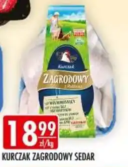 Sklepy Doroty Kurczak Zagrodowy Sedar oferta