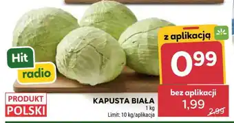 Kapusta biała