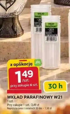 Stokrotka Market Wkład parafinowy W21 oferta