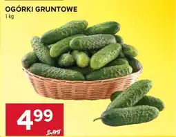 Stokrotka Market Ogórki gruntowe oferta