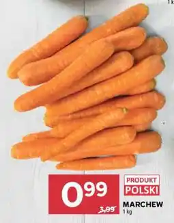 Stokrotka Market Marchew oferta