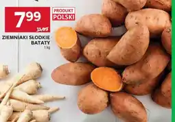 Stokrotka Market Ziemniaki słodkie bataty oferta