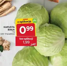 Stokrotka Market Kapusta biała oferta