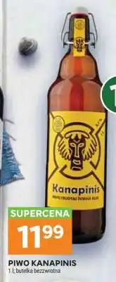 Stokrotka Market Piwo Kanapinis oferta