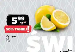 Netto Cytryna luz oferta