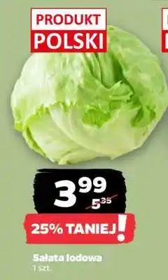 Netto Sałata lodowa oferta