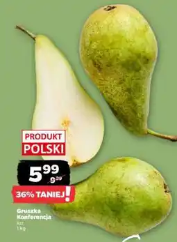 Netto Gruszka konferencja oferta