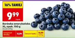 Biedronka Borówka amerykańska XL, opak. 150 g oferta