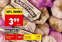 Biedronka Czosnek galicyjski, opak. 2 szt oferta