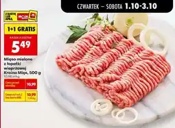 Biedronka Mięso mielone z łopatki wieprzowej Kraina Mięs 500 g oferta