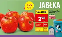 Biedronka Jabłka polska, opak. 1,5 kg oferta