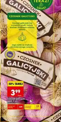 Biedronka Czosnek galicyjski, opak. 2 szt oferta