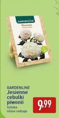 ALDI GARDENLINE oferta