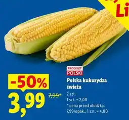 Lidl Polska kukurydza świeża oferta