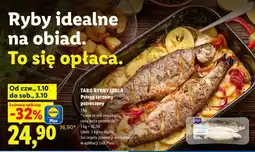 Lidl Pstrąg tęczowy – patroszony oferta