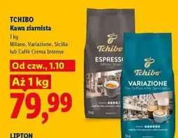 Lidl TCHIBO Kawa ziarnista oferta