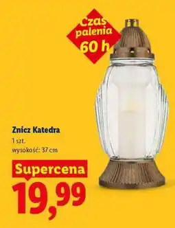 Lidl Znicz Katedra oferta