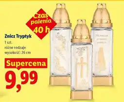 Lidl Znicz Tryptyk oferta