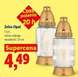 Lidl Znicz Opal oferta