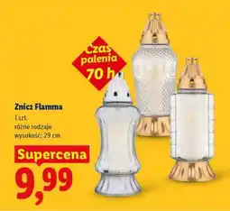 Lidl Znicz Flamma oferta