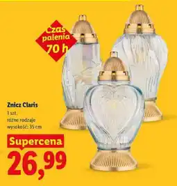 Lidl Znicz Claris oferta