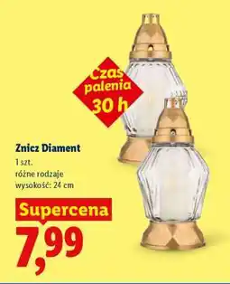 Lidl Znicz Diament oferta