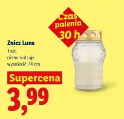 Lidl Znicz Luna oferta