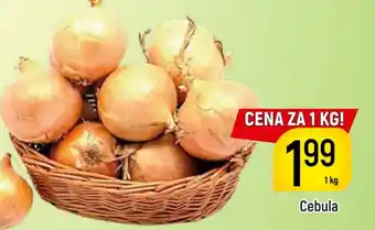 Delikatesy Piotruś Pan Cebula oferta