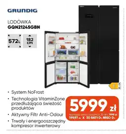 Max Elektro Lodówka Grundig GQN21245GBN oferta