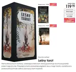 Świat Książki Cecilia Lattari Leśny tarot oferta
