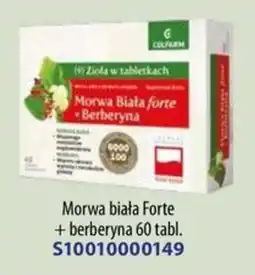 AT Morwa biała Forte + berberyna oferta