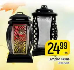 Delikatesy Piotruś Pan Lampion Prima oferta