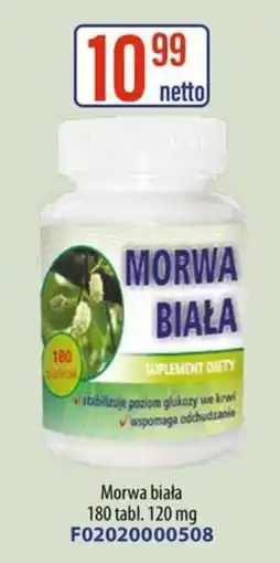 AT Morwa biała oferta